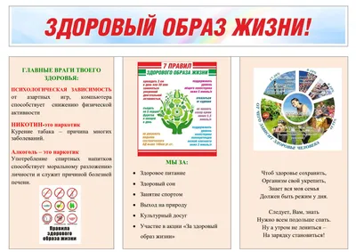 Коллаж на тему здорового образа жизни (1 фото). Воспитателям детских садов,  школьным учителям и педагогам - Маам.ру