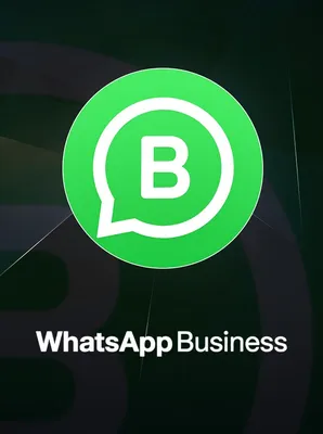 Why you need to use disappearing messages on WhatsApp and Signal | WIRED UK