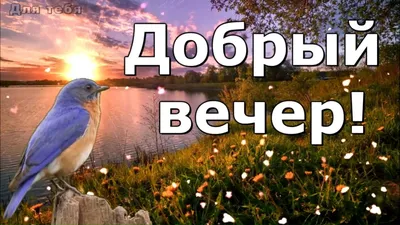 Картинки \"Доброго вечера!\" для женщины (233 шт.)