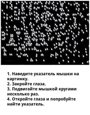 Тест на внимательность: всего 1 человек из 100 увидит животное на этой  картинке