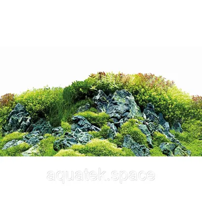 Задний фон Hobby Planted River/Green Rocks 120x50см (31045)