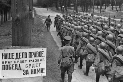 Стенд \"1941 год начало Великой Отечественной войны\" купить недорого с  доставкой по России