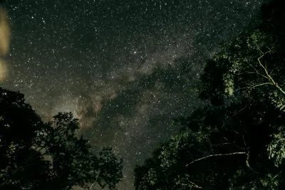 Фото звездного неба в ночное время · Бесплатные стоковые фото