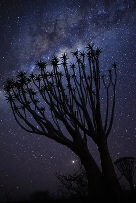 Фотосъемка ночного неба - Canon Armenia