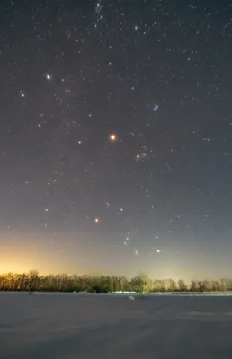 Звезды ночного неба и атмосфера леса Стоковое Изображение - изображение  насчитывающей половинно, вполне: 89154663