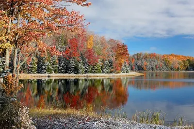 Осень ноябрь природа (94 фото) - 94 фото