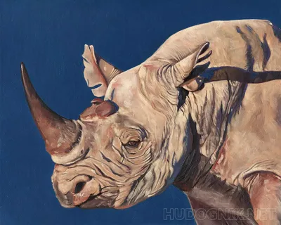 Значение тату носорог