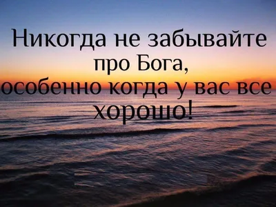 🌿 Если человека лишить Бога, он не будет понимать, в чём смысл жизни. В  чём его радость, в чём его добро. Ведь добро то - прежде всего… | Instagram