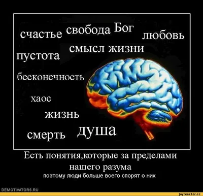 Четыре способа собрать свой ответ на вопрос о смысле жизни — Нож