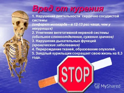 Плакат о вреде курения (арт.АГ-06) купить в Казани с доставкой: цены в  интернет-магазине АзбукаДекор