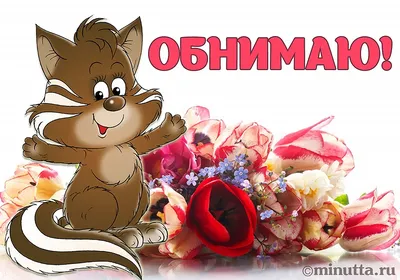 Ищет дом маленькая собачка! Малыш любит людей, обнимашки, целовашки и  внимание! | Домик Мелкашей - приют маленьких собак | Дзен