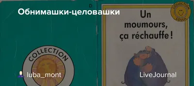 цитаты #юмор | TikTok