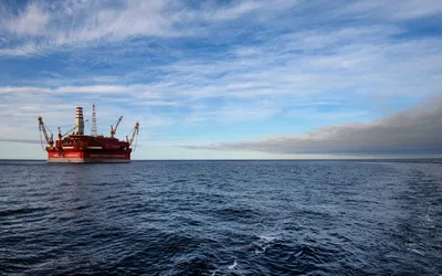 Перепись океана\": ученые ищут новые виды рыб и морских животных | Euronews