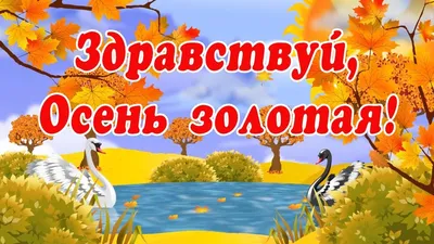 Синоптик рассказал, сколько продлится золотая осень | 29.09.2021 | Тверь -  БезФормата