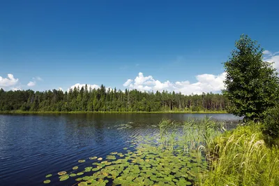 Лучшая закуска для отдыха на природе, в кругу семьи или друзей