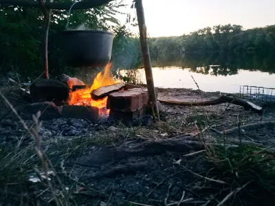 Семейный отдых на природе - База отдыха \"Ильинский пляж\", д. Блазново,  Можайск - официальный сайт