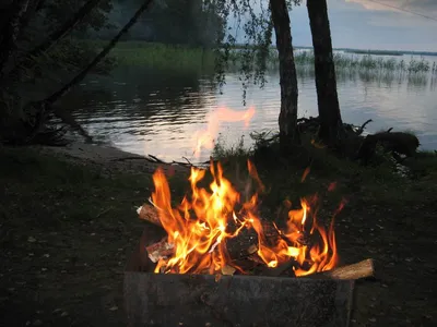 Зачем нужен отдых на природе?