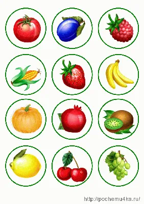 Картинки овощи для детей - распечатать (45 шт.)