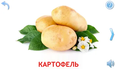 Овощи: картинки для детей