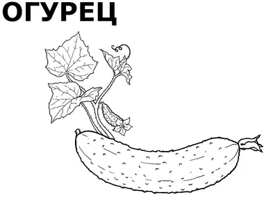 Картинки овощи для детей - распечатать (45 шт.)