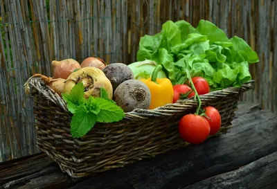 Картинки овощей для детей детского сада и школы
