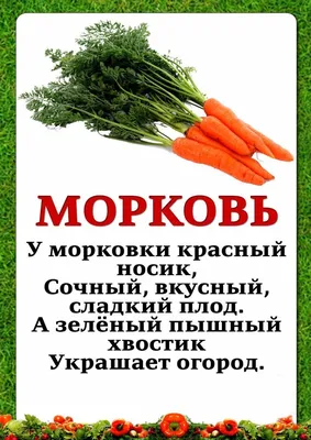 Картинки фруктов и овощей для детей (Много фото!) - drawpics.ru