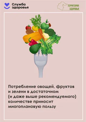 Сертификация и декларирование овощей и фруктов. Порядок, сроки, цена |  Центр сертификации ЛСМ