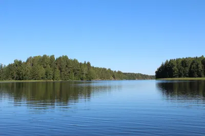 Великие водоемы России: Телецкое озеро — алмазный скипетр Алтая - ВОДА  РОССИИ