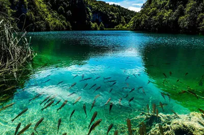 Голубое озеро Казани – уникальное природное явление с чистейшей водой и  завораживающими видами!