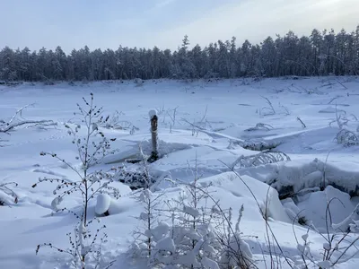 Где искупаться? Самые живописные озера Эстонии, где можно хорошо отдохнуть  в жару - Turist