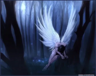 Падшие Ангелы | Пикабу
