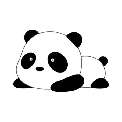 Имя для малышки-панды выбрали в России - Информационный портал Yk24/Як24