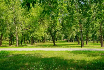 Картинки Парка фотографии