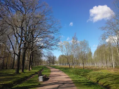 Баболовский парк — Википедия