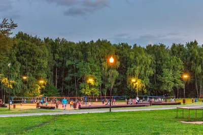 Купить квартиру возле парка Галицкого: комфортное жилье в зеленой зоне  Краснодара