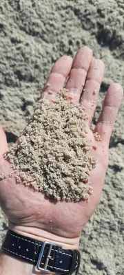 Песок карьерный или речной: какой лучше, чем отличаются, сферы применения |  НерудСтрой-М