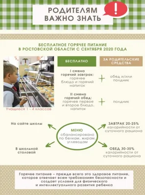 Школьное питание: меню для школьника, режим, школьные обеды, правила  правильного питания