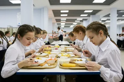 Что нужно знать родителям о новых санитарных нормах питания в школах  Бердска? | Свидетель