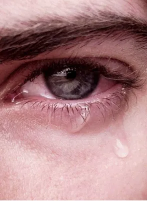 Сфотографировали плачущих мужчин: возмутились возвращением призыва - Delfi  RU