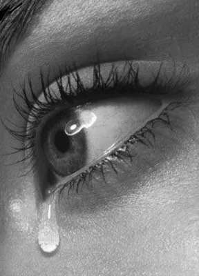 Плачущий мужчина из Газы говорит: Клянусь Аллахом, эти слезы не слезы  страха, а слезы из-за слабой Уммы , которая оставила нас одних перед… |  Instagram