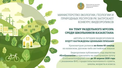 Брянские школьники примут участие в онлайн-олимпиаде по экологии | Брянская  Губерния