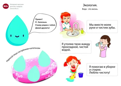 Экологические викторины с ответами для дошкольников, школьников сайта  \"Гордость России\"