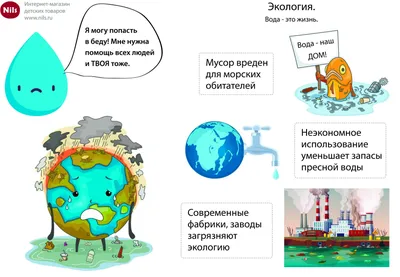Уроки экологии для детей: Вода - это жизнь - Nils Blog