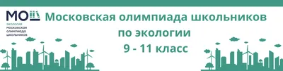 В Год экологии школьники порассуждали об экологических проблемах ::  Петрозаводский государственный университет