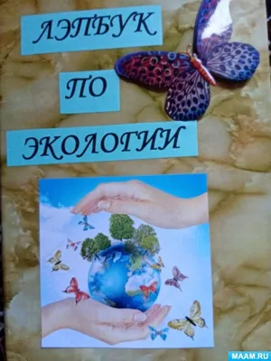 Итоги регионального этапа всероссийской олимпиады школьников по экологии |  Автономное учреждение «Центр мониторинга и развития образования» города  Чебоксары
