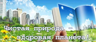 Лэпбук по экологии для детей старшего дошкольного возраста (6 фото).  Воспитателям детских садов, школьным учителям и педагогам - Маам.ру