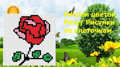 Легкие рисунки по клеточкам в тетради для девочек 9 лет