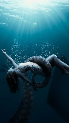 Обои девушка под водой | Underwater art, Underwater model, Underwater  photography