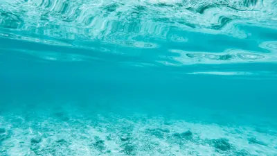 Человек, плавающий под водой · Бесплатные стоковые фото