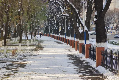Погода картинки для детей - 35 фото